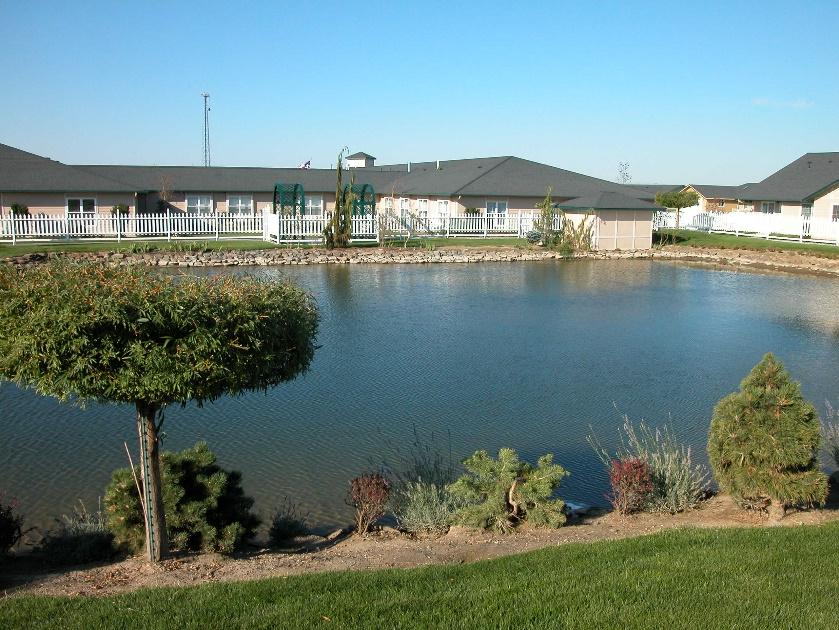 Pond and natural landscape around Coventry House Assisted Living